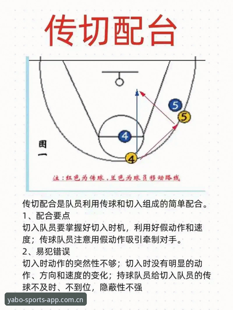 雅博体育使用教程教程 vs 官方指南：新手如何快速上手ABOBO移动端？全面对比与实操步骤解析